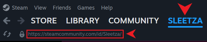 Steam profile URL location