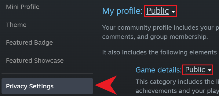 Steam privacy settings location